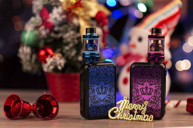 Koupila jsem si elektronickou cigaretu. 